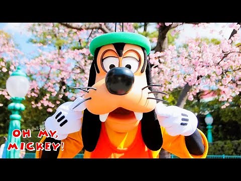 Goofy Compilation: Disney interactions ✨️