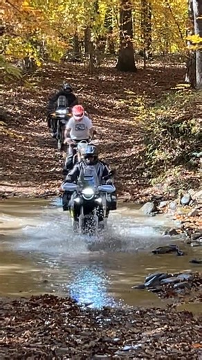 Rich Beymer on Reels