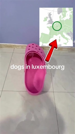 #luxembourg #trend #fyp #chile | Luxembourg