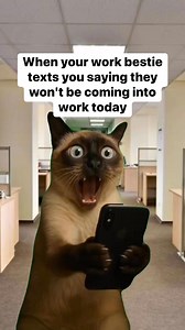 How could they do this #work #workhumor #workmemes #workbesties #workbestie | gnarlyoodles