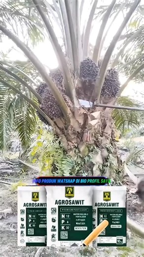 Eli on Instagram: "#peluang #usaha #bisnis #online #lahan subur petani makmur"