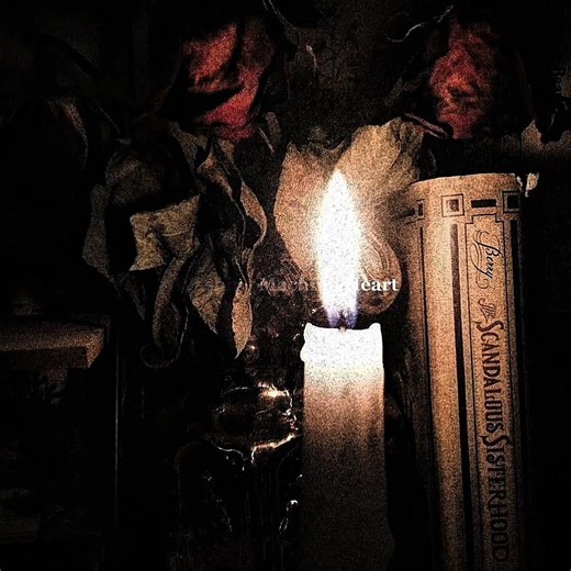 washing machine heart - mitski (lyrics) #music#stutas