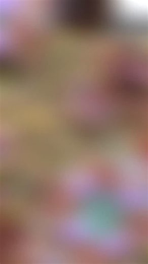 Second colorway for Abracadabra… new workshop project for 2026 | Sabine Lippert