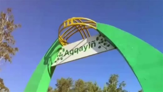 beryozka_camp on TikTok