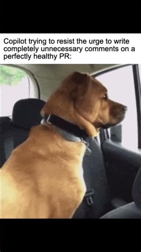 Programmer Humor 478 #programming #programmer #it #coding #humor #meme #ai #joke