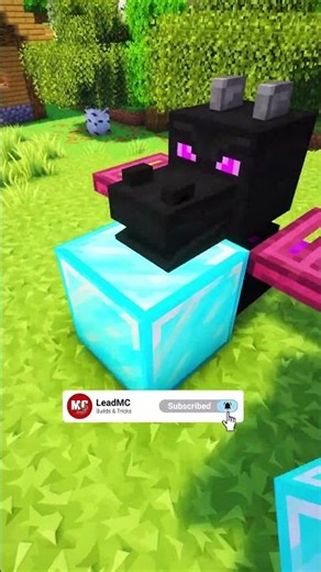 Minecraft Ender Dragon Build Hack Decoration Tutorial 🐉🛠️ | Awesome Head Statue Design!