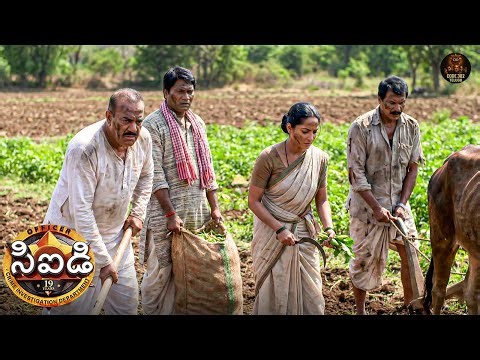 మారువేషంలో, CID లక్నోలోని హంతకుడి గ్రామానికి చేరుకుంది | Best Of CID Telugu | New Episode 1142