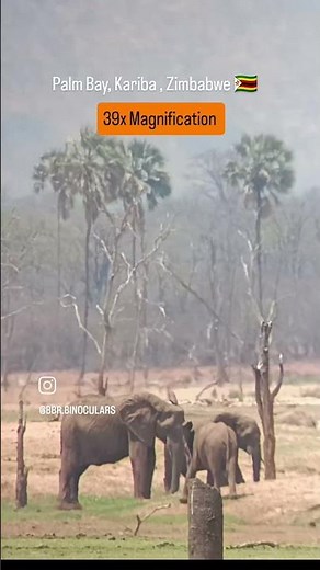 Long Distance #Digiscoping