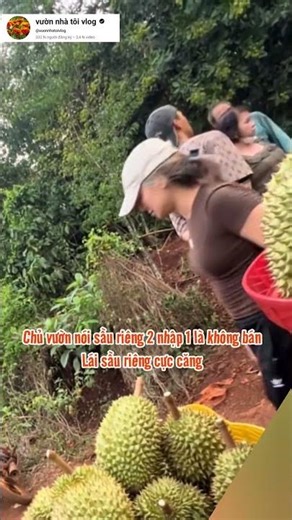The durian buyer demanded a 2 for 1 durian purchase, but the orchard owner refused to sell.