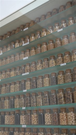 Ever wondered what's inside our genebank? 🤔 Explore the secrets of our accessions with Athanasios Tsivelikas, Genebank Manager at ICARDA! Watch the full video👉 https://www.youtube.com/watch?v=SgnsjLtlW7I&t=3s | International Center for Agricultural Research in the Dry Areas - ICARDA