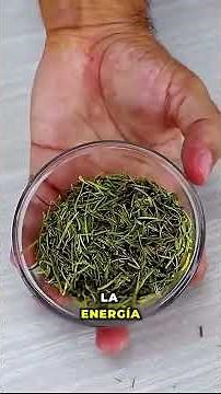 10 Powerful Medicinal Plants for Your Health