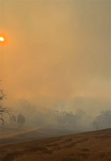 All for nothing #fore #foryouaustralia #bushfire #week #planesforyoupage #fire #bushfire #wilmington #wood #trees #plants #2025 #months #crazy