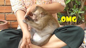 5.7K views · 176 reactions | Long nail || MOm is trying to cut Jonny's nails but he doesn't want to cut his nail | My Monkey Jonny | Facebook