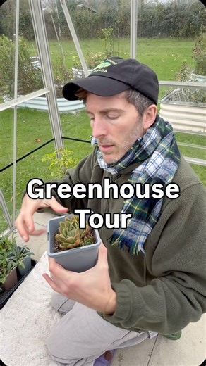 Greenhouse tour! What is that mystery plant? | Rob Doing Rob