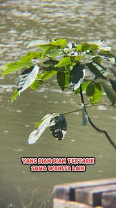 Yang diam diam tertarik sama wanita lain | Kreator Payakumbuh