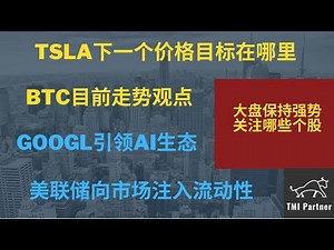 【美股分析】TSLA下一个价格目标在哪里？BTC目前走势观点如何？GOOGL引领AI生态基建！美联储向市场注入流动性！IWM继续强势向上！标普关键点位分析！点击下方网站链接获得更多投资信息！