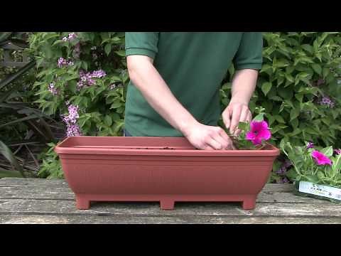 Trough Planting Guide from gardenxtras.com