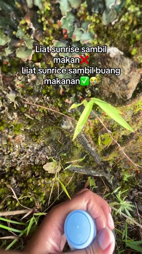 ASLII GAKUAD NAHAN😭 #pendakigunung #merbabu
