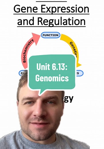 Understanding Genomics: DNA, RNA, and Human Genetics
