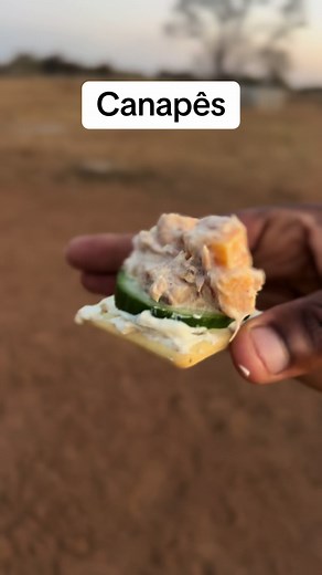 Delicious Canapês Recipes from South Africa and Botswana