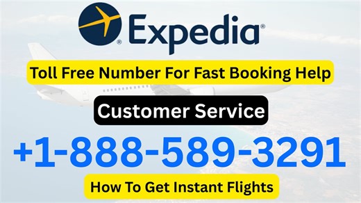 {24+} Ways $To Access Priceline CUSTOMER SERVICE NUMBER By Phone, Chat And Email: A Step-by-step Guide