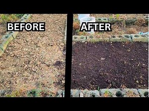 The ULTIMATE Soil Formula: Just 3 Ingredients for Supercharged Plants!