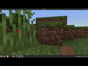 How to install Minecraft Bedrock on Linux Mint 20.x