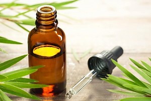 Tea Tree Oil: come e quando usare l'olio essenziale di melaleuca