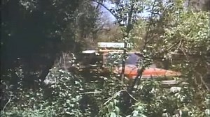 Hunters blood. 1986. VHS rip. Uncut .