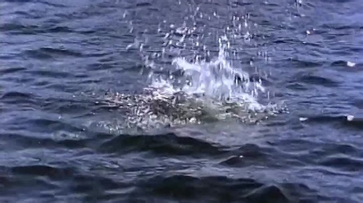 Renegade S03E08 Muscle Beach