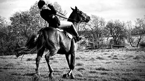 12K views · 255 reactions | The Parelli Problem Solving App is here and it's free! | Parelli Natural Horsemanship | Facebook