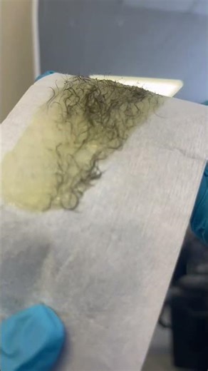 Wax appointments available