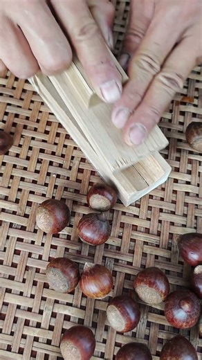 uTumn Chestnuts! Tool makes peteling easier
