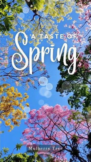 "Mocha" with Mulberry Tree's Taste of Spring