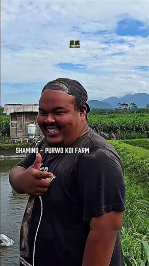 Dulu, Mega Jumbo cuma dianggap “pakan baru” yang belum tentu terbukti. Sekarang kita buktikan!