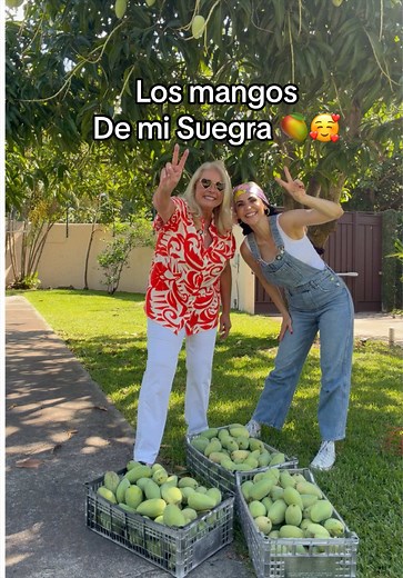 Cortando mangos de mi suegra: recorrido y storytime