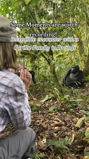 Epic Safari Journeys with Sail Adventure Safaris: Unveiling the 12-Days Best of East Africa Safari Itinerary Are you ready for the adventure of a lifetime? Sail Adventure Safaris invites you to embark on an unforgettable 12-day journey through East Africa, showcasing the region's most breathtaking natural wonders and wildlife encounters. Our meticulously crafted itinerary combines the allure of Zanzibar, the untamed beauty of Serengeti and Ngorongoro, and the awe-inspiring experience of tracking