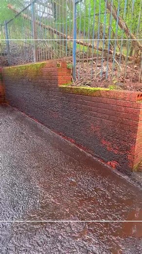 Satisfying Lawn Care Transformations You Need to See