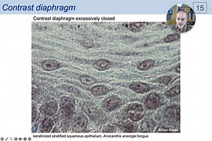01 - The simple and the compound microscope.mp4