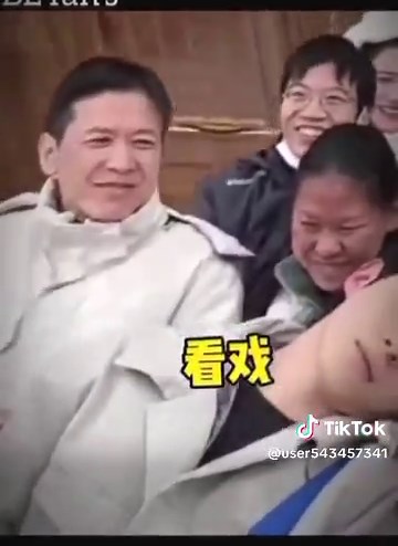 Discover the Best Cat Content on TikTok in 2025