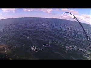 Ling Cod Jetty Fishing - Westport, WA - March 2019