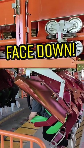 Face Down, A** Up on Tatsu Roller Coaster at Six Flags Magic Mountain