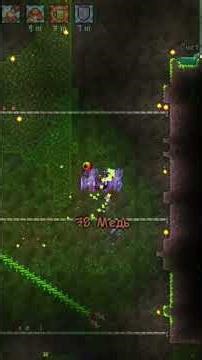 Первая попытка убить плантеру.