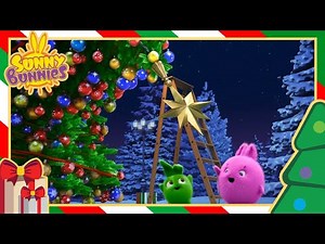 The Sunny Bunnies are decorating their Christmas Tree | Sunny Bunnies Christmas 🎄