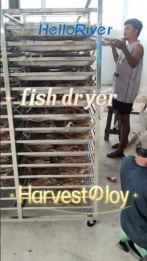 big capacity fish dryer seafood drying room 1-5 tons per load dual mode both hot air and cold air