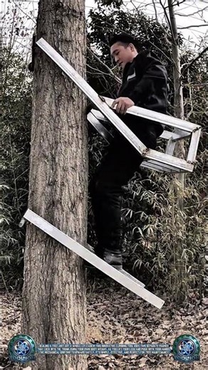 Brilliant Design: Climb Trees with Ease! 🌳