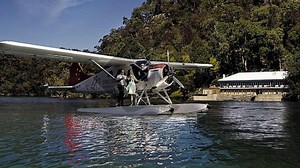 Sydney Seaplanes to resume flights over two weeks since fatal crash