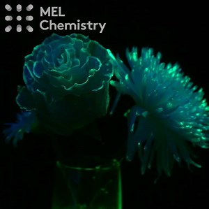 779 reactions · 174 shares | This month we made lots of discoveries — we hope you enjoyed it! Watch our new Awesome Experiments Compilation To do safe experiments with kids at home sign up to MEL Science here: https://goo.gl/bmZJS2 | MEL Science | Facebook