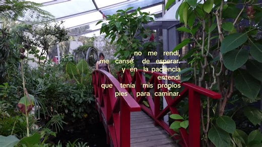 Videos de cindy ࣪ ִֶָ☾. (@csct__) con “sky - Gede Yudis”