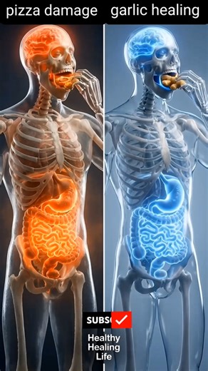 PIZZA VS GINGER | what happens inside